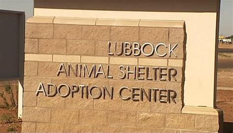 To do this we need to make sure that a pet and family are well matched. . Lubbock animal shelter adoption center